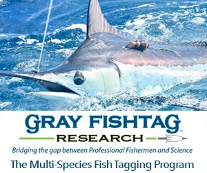 Gray FishTag Research